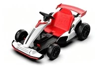 75W*2 24V Electric Drift Go-Kart